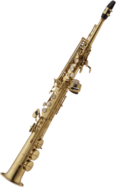 Yanagisawa S-WO1
